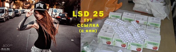 эйфоретик Богданович