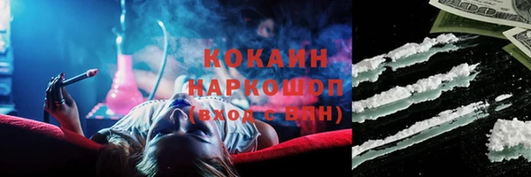 эйфоретик Богданович